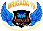 Brigada 19